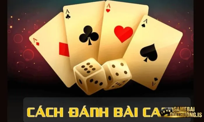Luật chơi Catte